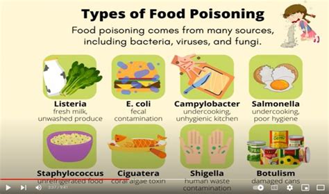 Contamination Of Food Items By Other Living Organisms