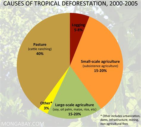 Continued Deforestation Will Most Likely Lead To _______.