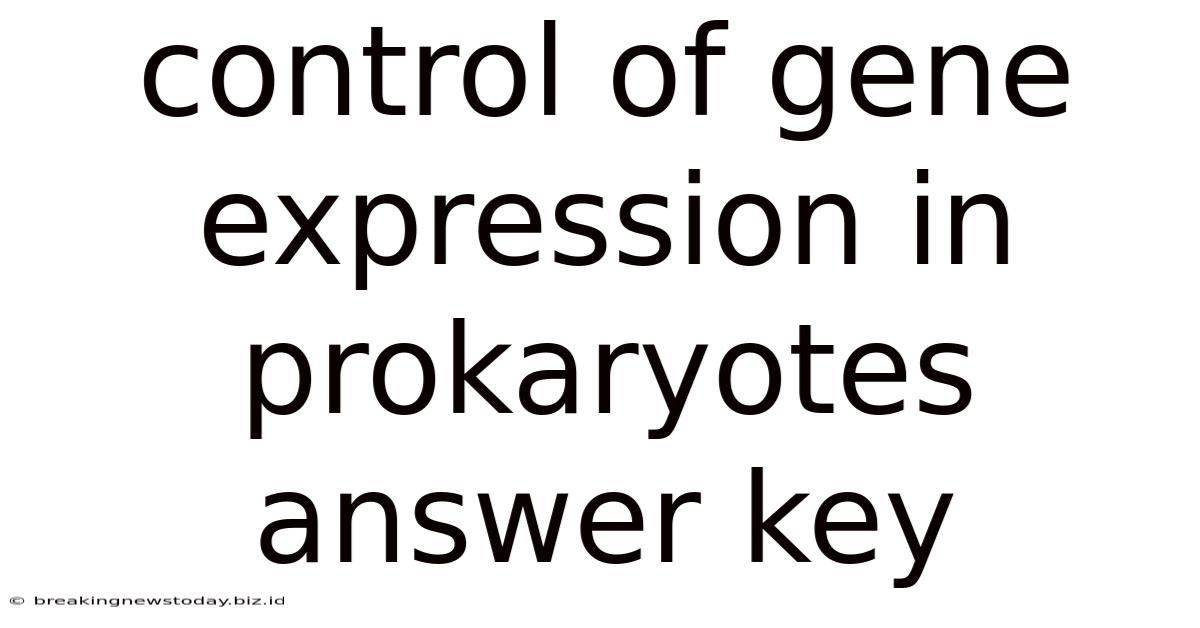 Control Of Gene Expression In Prokaryotes Answer Key