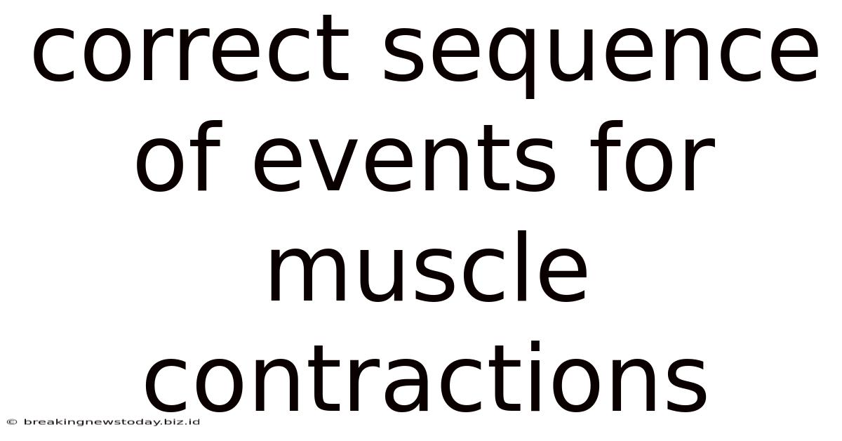 Correct Sequence Of Events For Muscle Contractions