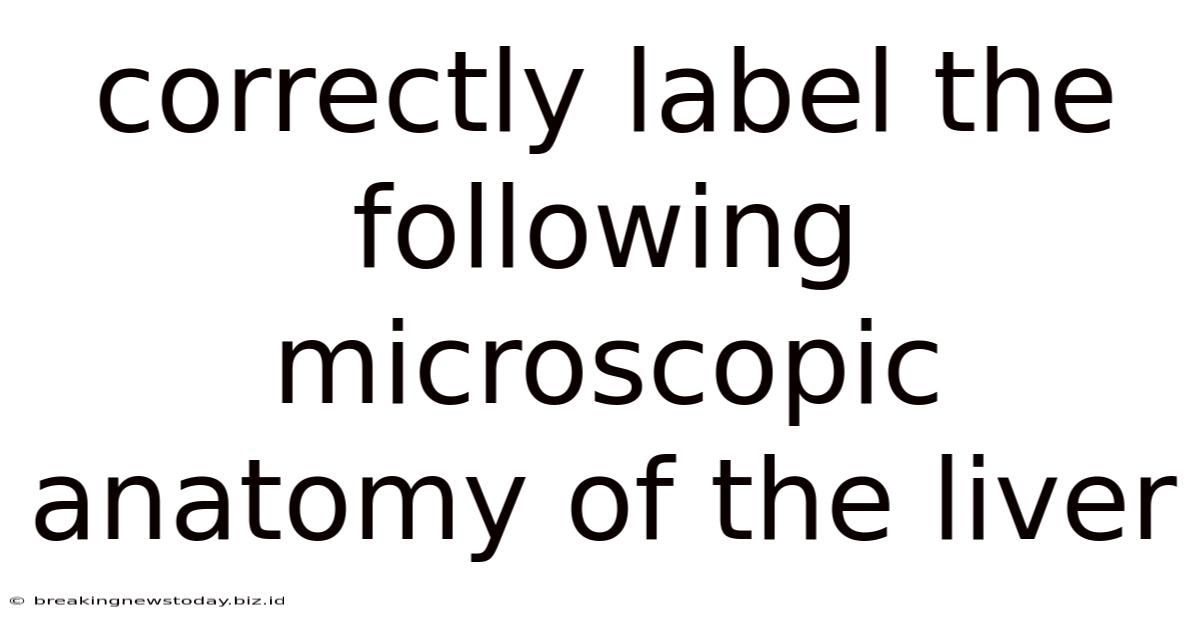 Correctly Label The Following Microscopic Anatomy Of The Liver