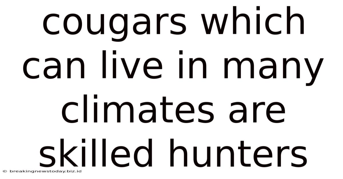 Cougars Which Can Live In Many Climates Are Skilled Hunters