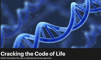 Cracking The Code Of Life Video Questions