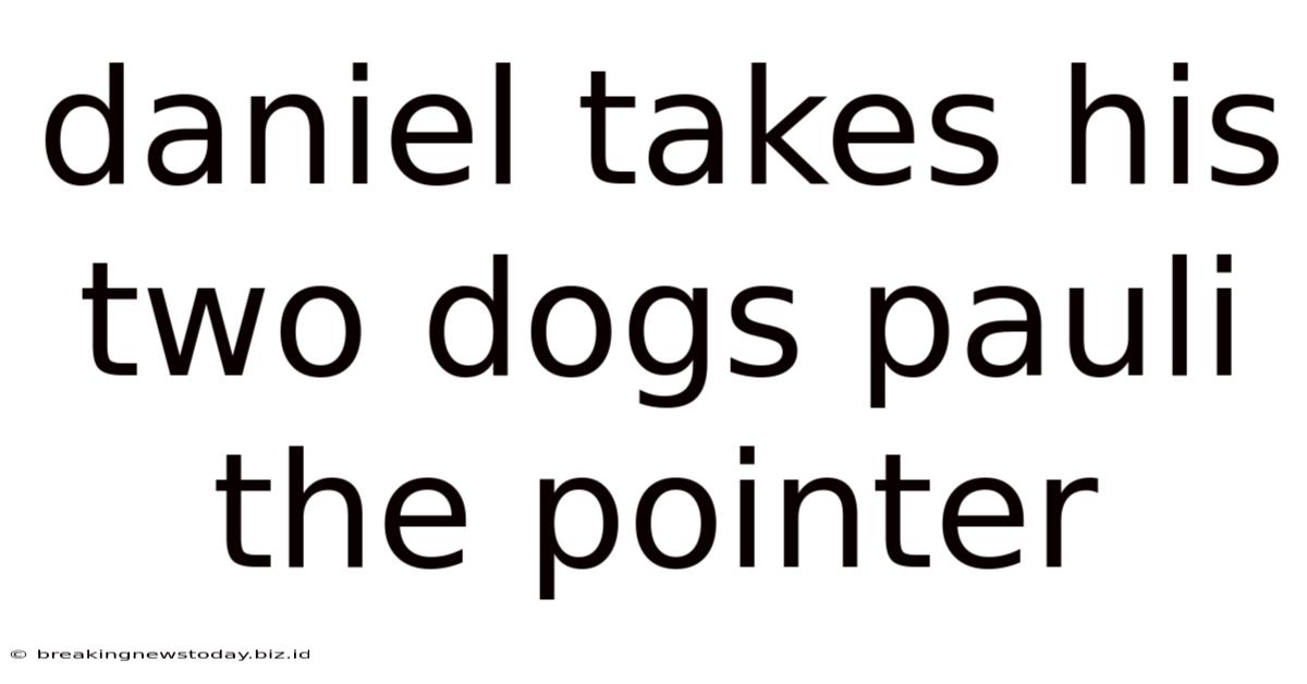 Daniel Takes His Two Dogs Pauli The Pointer