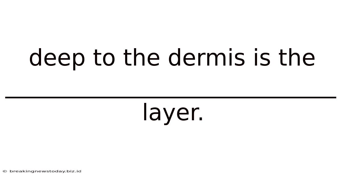 Deep To The Dermis Is The _____________________________ Layer.