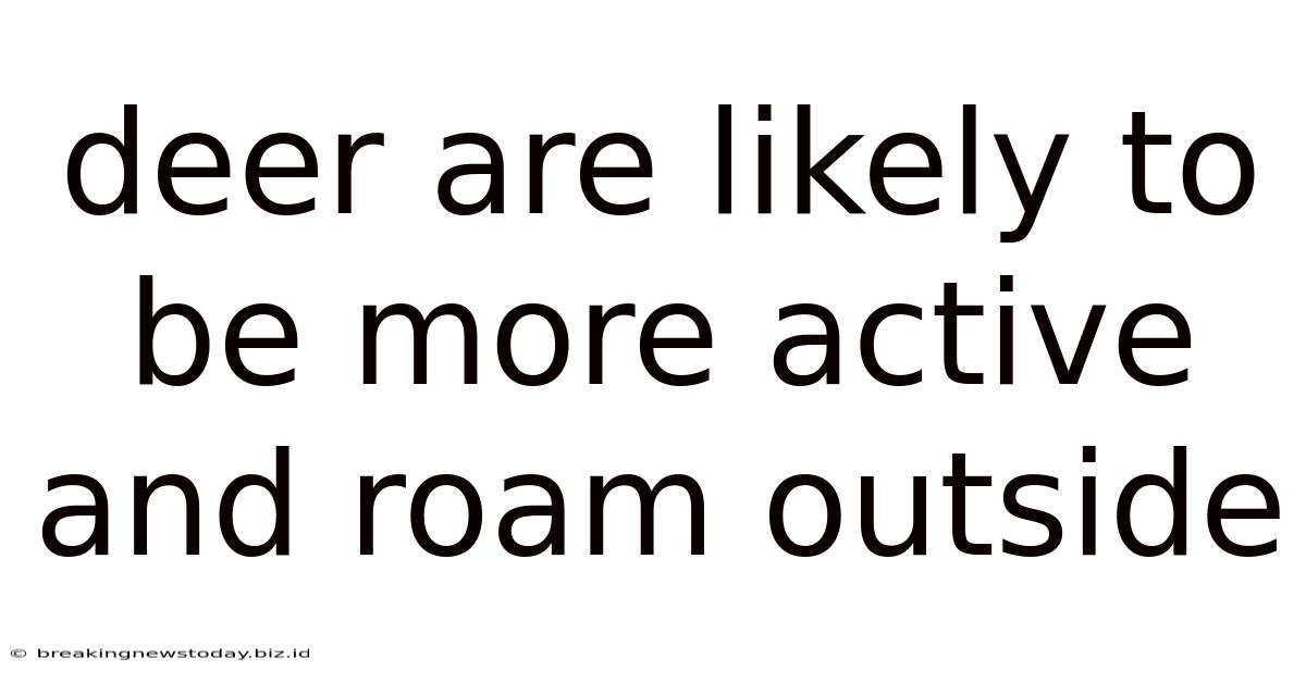 Deer Are Likely To Be More Active And Roam Outside