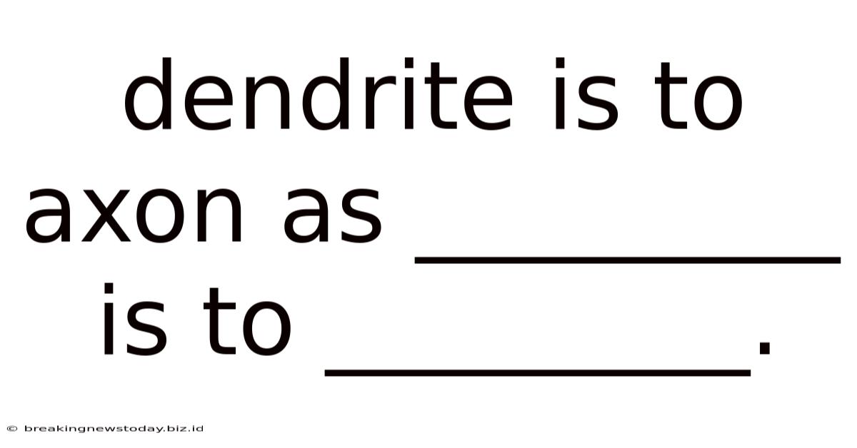 Dendrite Is To Axon As _________ Is To _________.