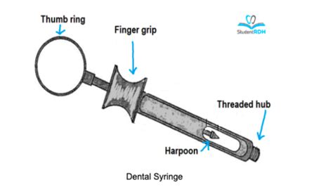 Dental Hygiene Local Anesthesia Board Exam Quizlet