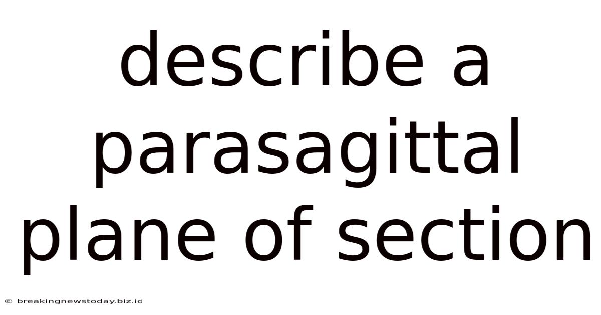 Describe A Parasagittal Plane Of Section