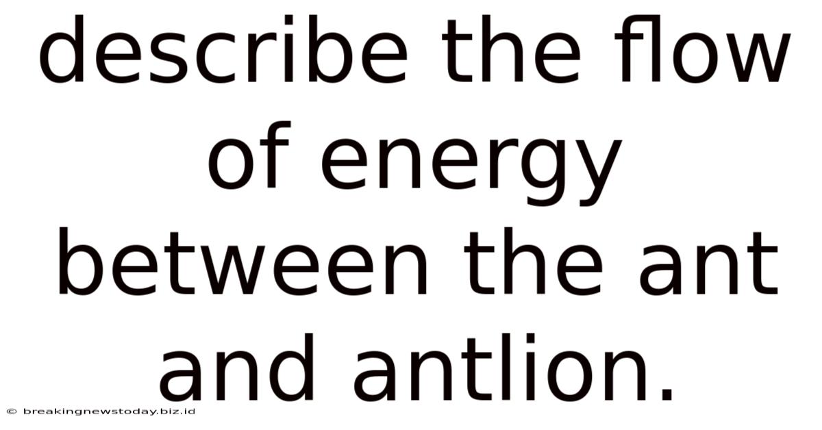 Describe The Flow Of Energy Between The Ant And Antlion.