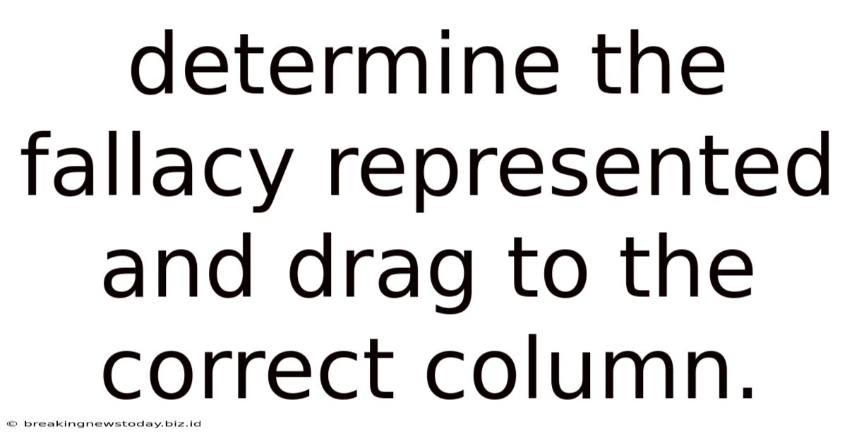 Determine The Fallacy Represented And Drag To The Correct Column.