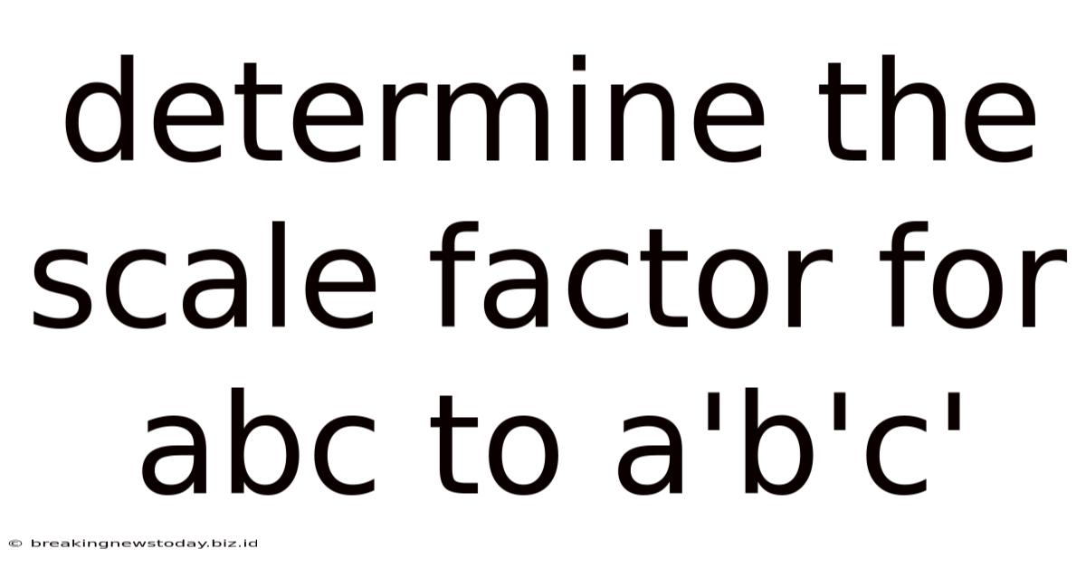 Determine The Scale Factor For Abc To A'b'c'