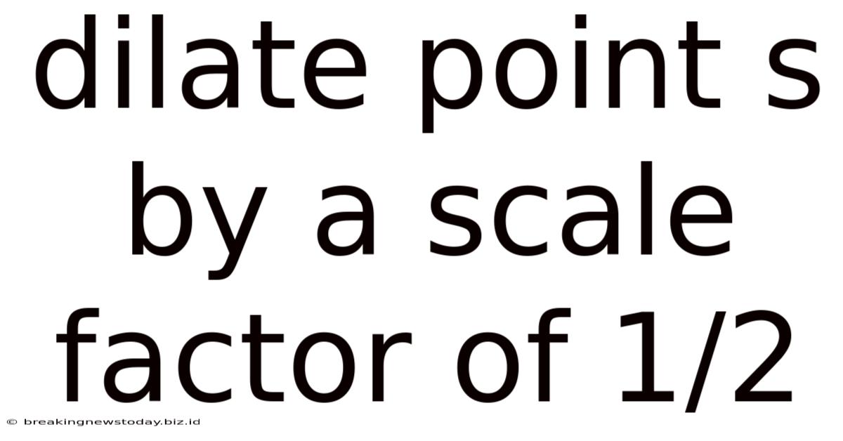 Dilate Point S By A Scale Factor Of 1/2