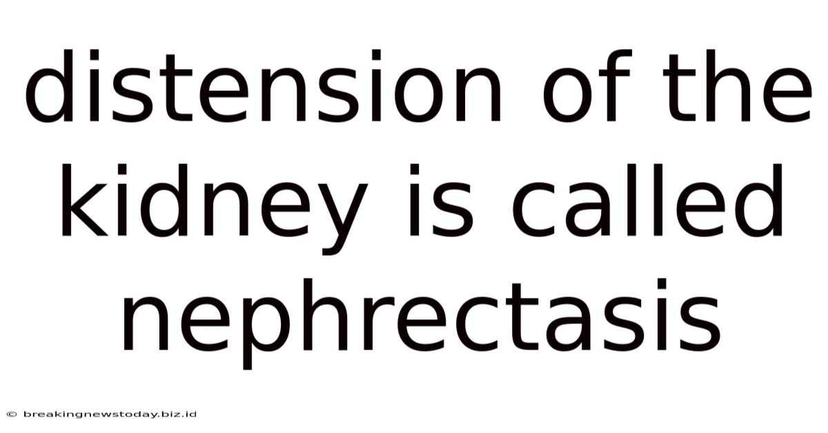 Distension Of The Kidney Is Called Nephrectasis