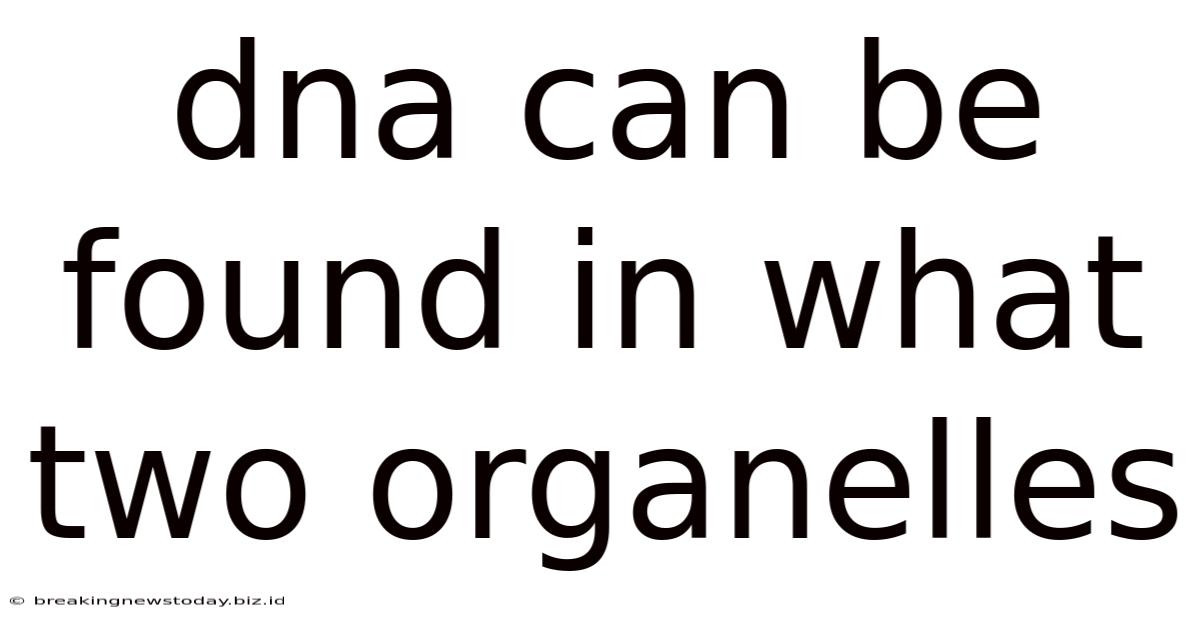 Dna Can Be Found In What Two Organelles
