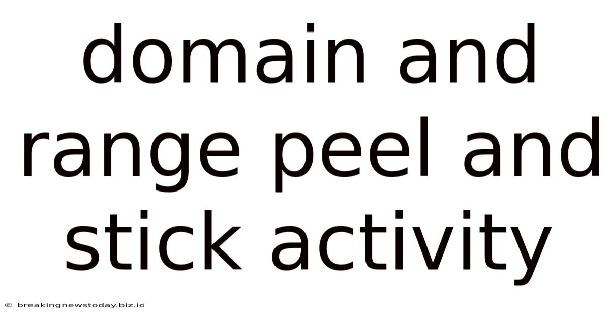 Domain And Range Peel And Stick Activity