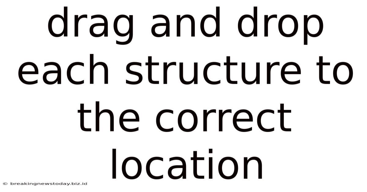 Drag And Drop Each Structure To The Correct Location