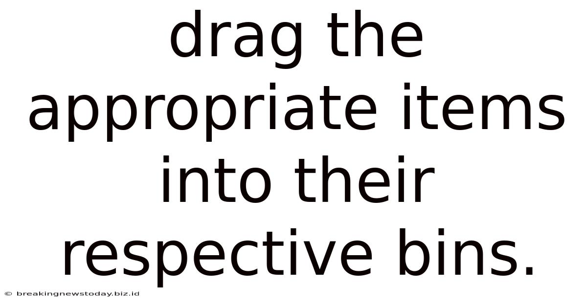 Drag The Appropriate Items Into Their Respective Bins.