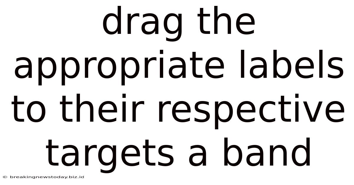 Drag The Appropriate Labels To Their Respective Targets A Band