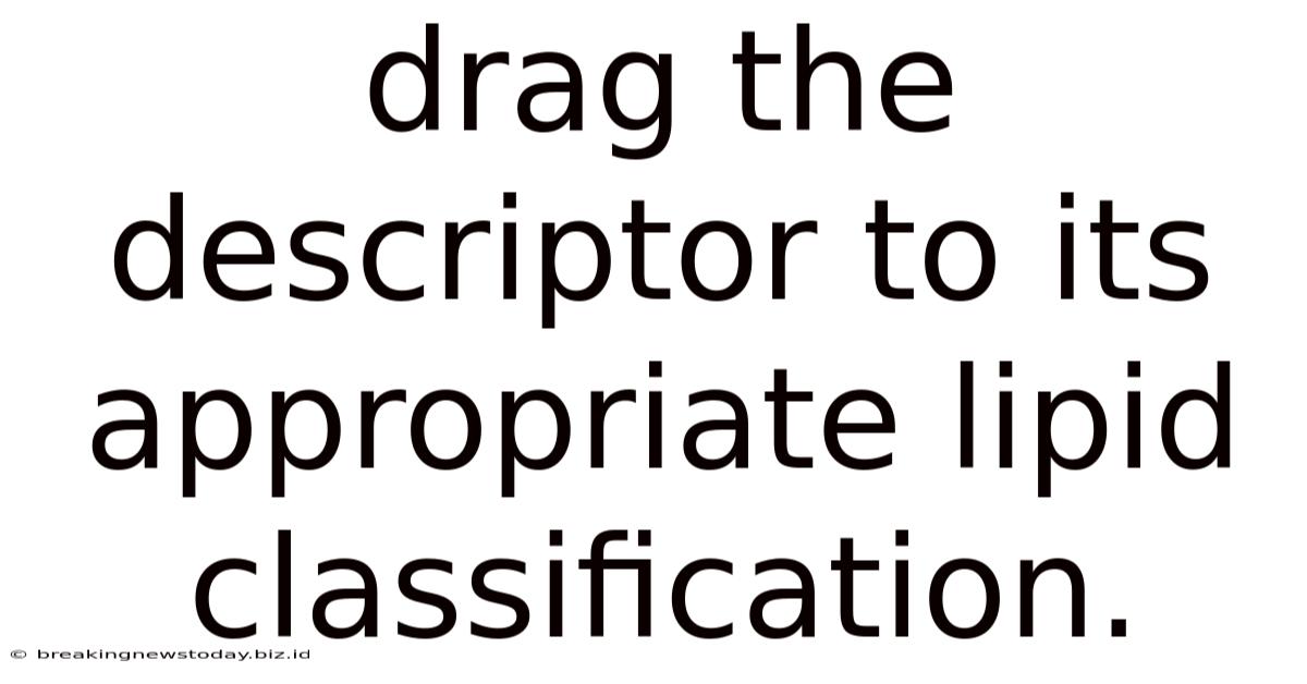 Drag The Descriptor To Its Appropriate Lipid Classification.