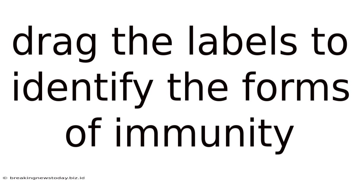 Drag The Labels To Identify The Forms Of Immunity