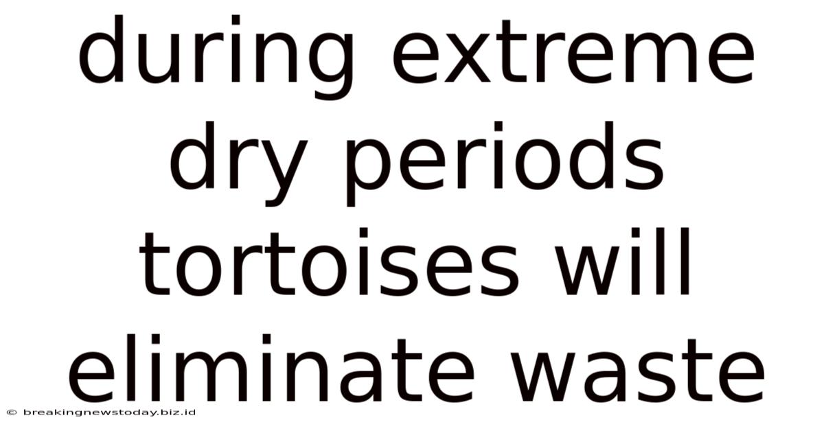 During Extreme Dry Periods Tortoises Will Eliminate Waste