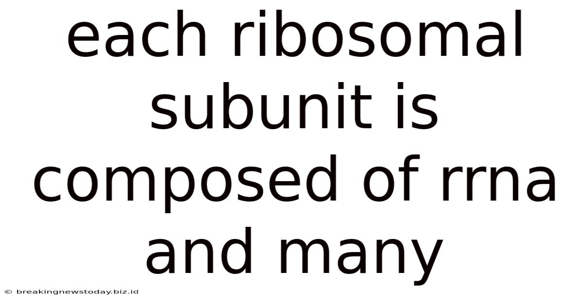 Each Ribosomal Subunit Is Composed Of Rrna And Many