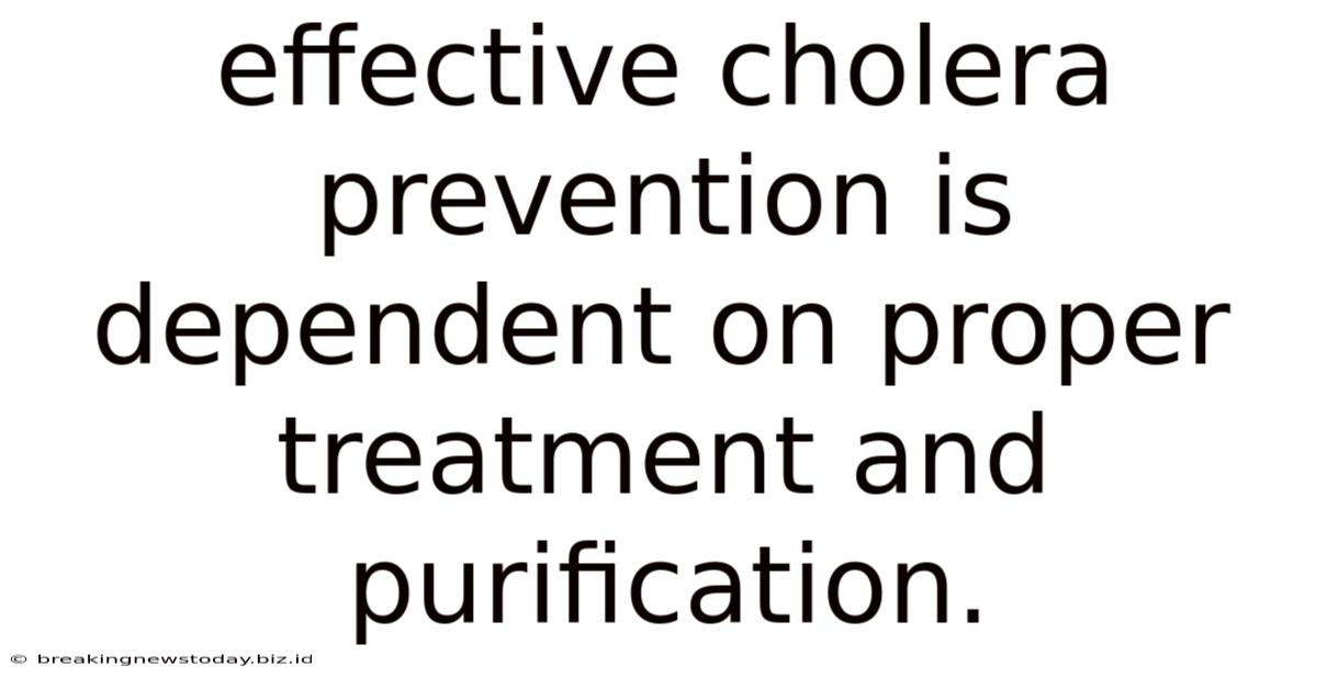 Effective Cholera Prevention Is Dependent On Proper Treatment And Purification.