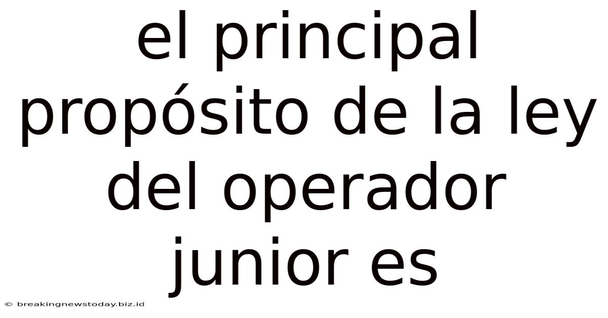 El Principal Propósito De La Ley Del Operador Junior Es