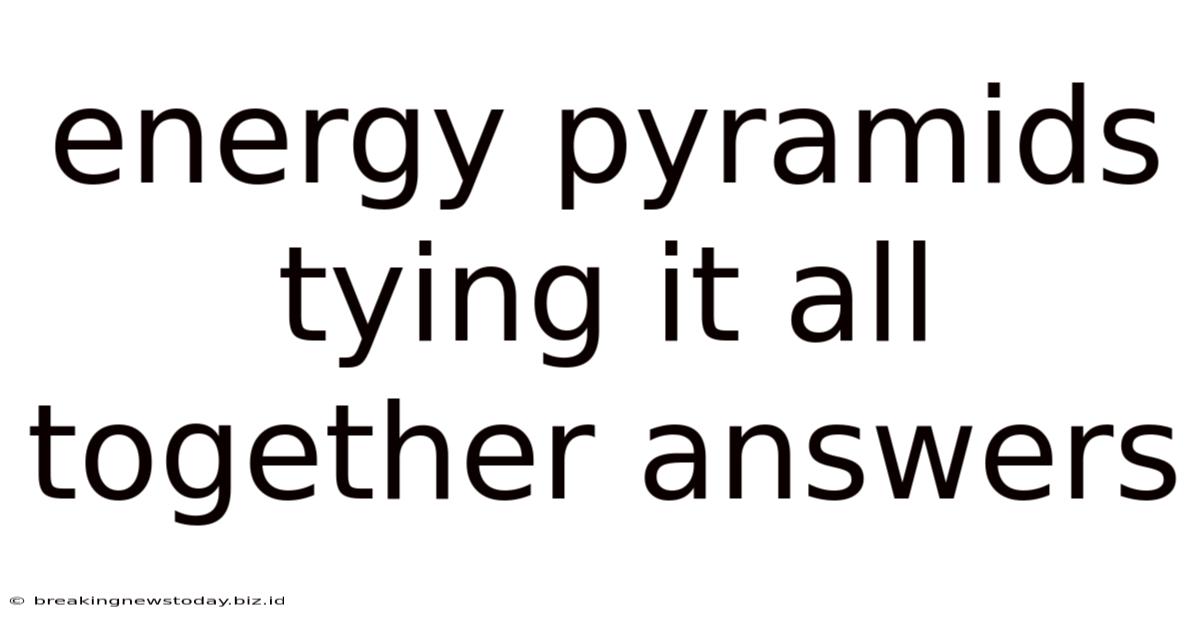 Energy Pyramids Tying It All Together Answers