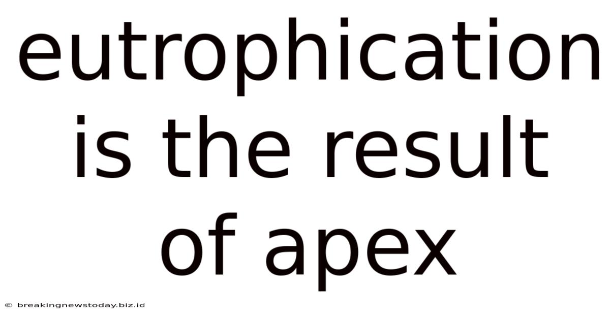 Eutrophication Is The Result Of Apex