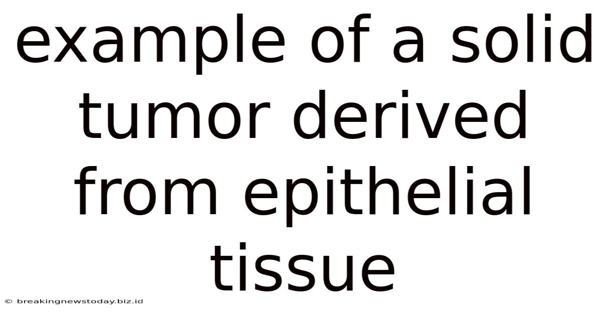 Example Of A Solid Tumor Derived From Epithelial Tissue