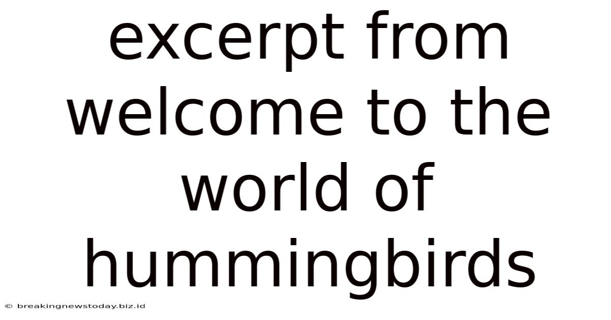 Excerpt From Welcome To The World Of Hummingbirds