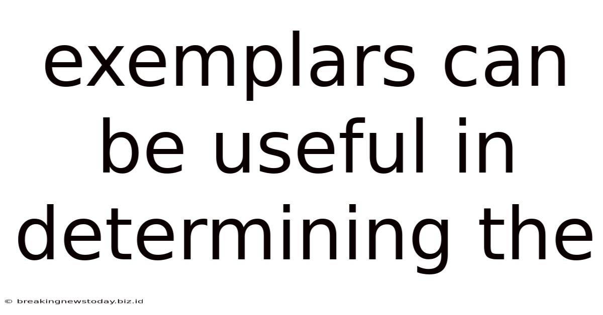 Exemplars Can Be Useful In Determining The