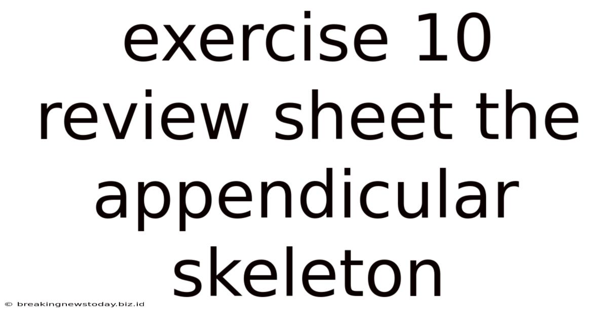 Exercise 10 Review Sheet The Appendicular Skeleton