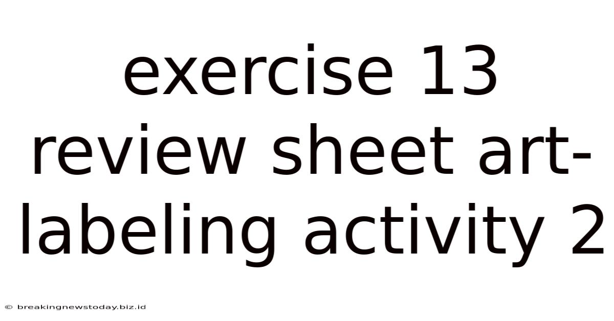 Exercise 13 Review Sheet Art-labeling Activity 2