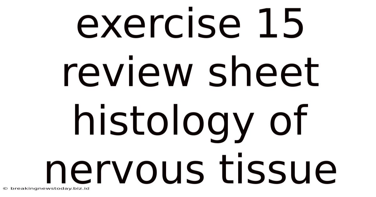 Exercise 15 Review Sheet Histology Of Nervous Tissue