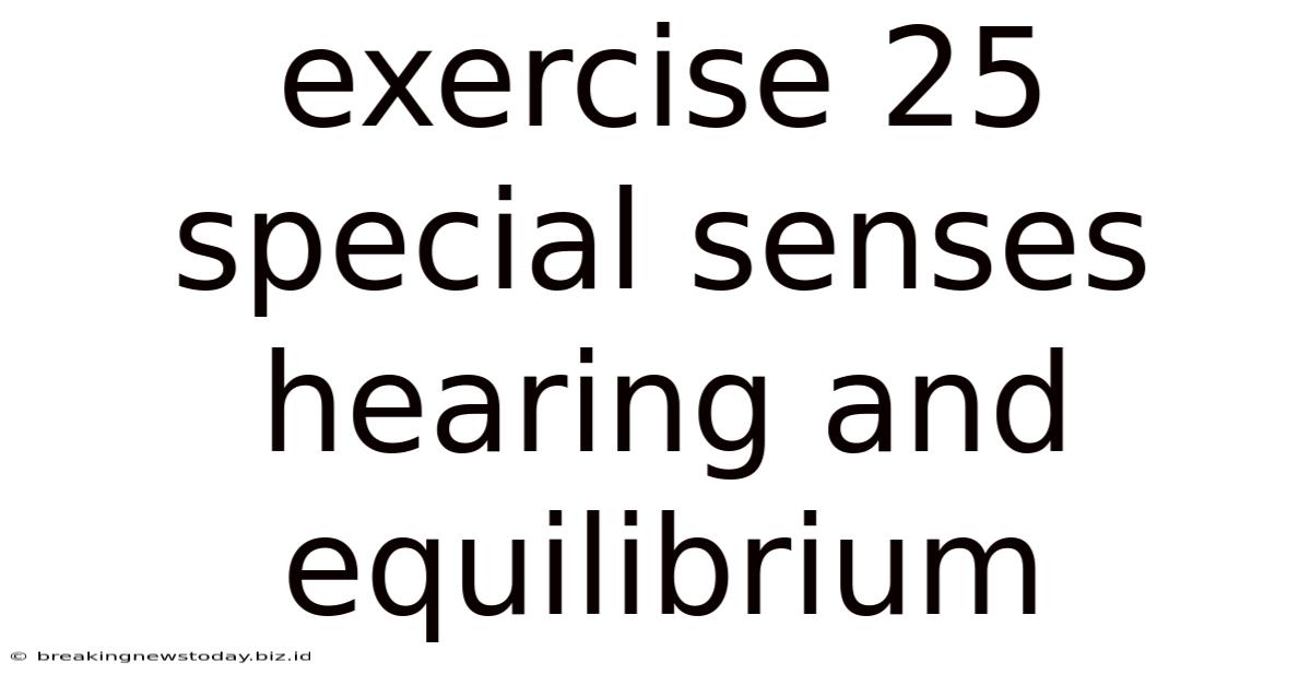 Exercise 25 Special Senses Hearing And Equilibrium