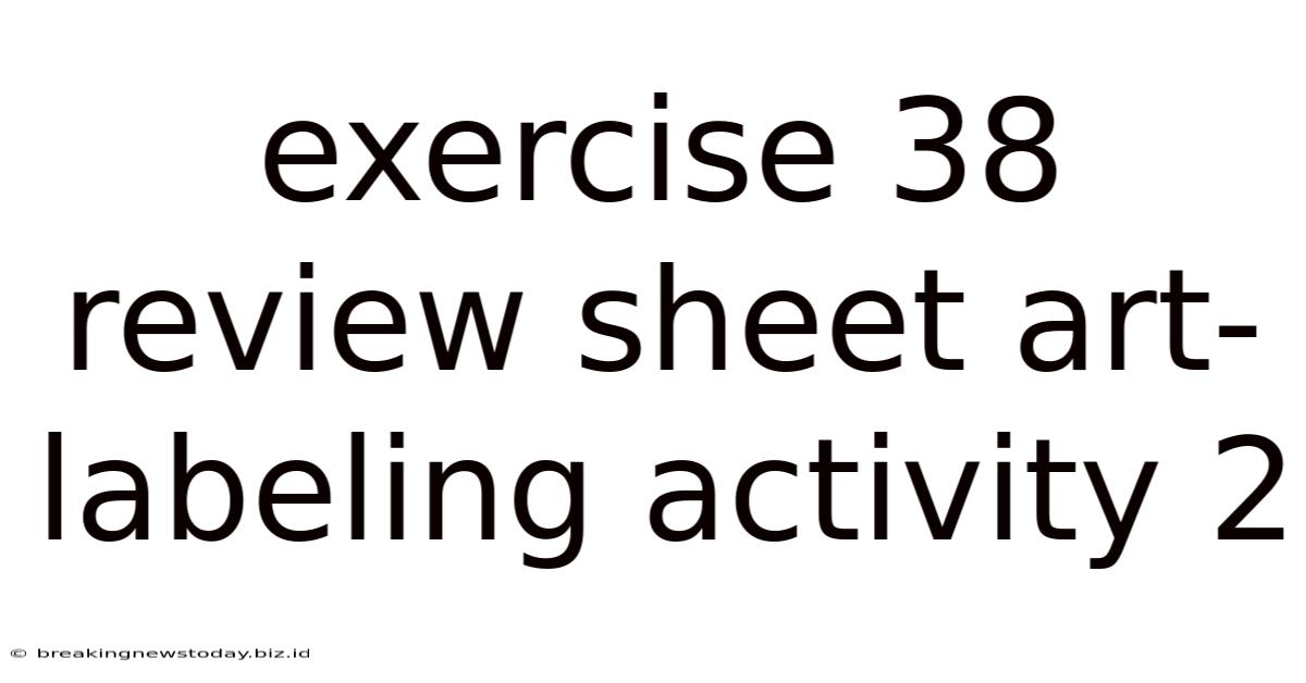 Exercise 38 Review Sheet Art-labeling Activity 2