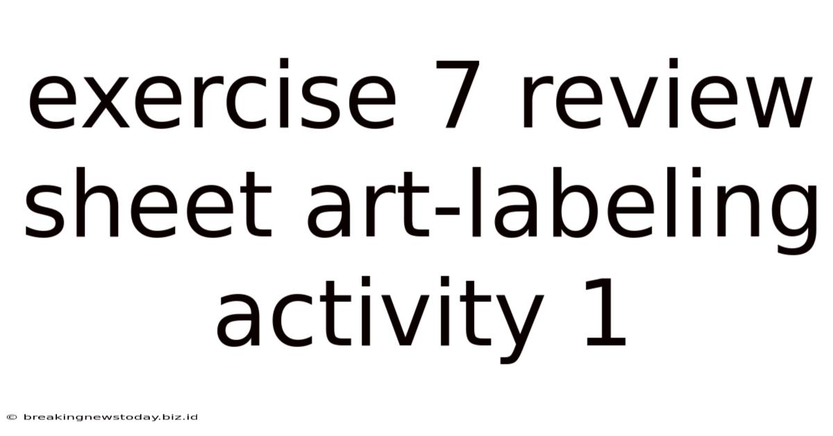 Exercise 7 Review Sheet Art-labeling Activity 1