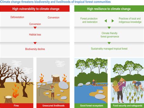 Explain How Waste Heat Is Inevitable In Ecosystems