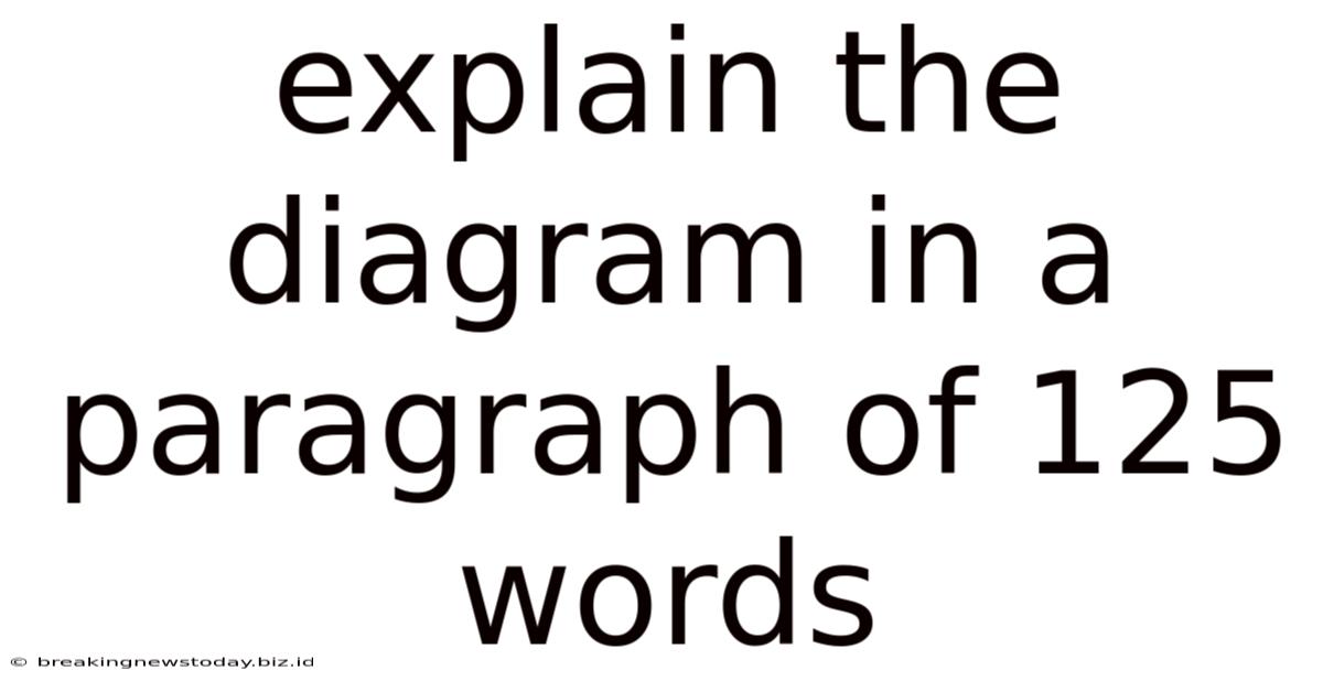 Explain The Diagram In A Paragraph Of 125 Words