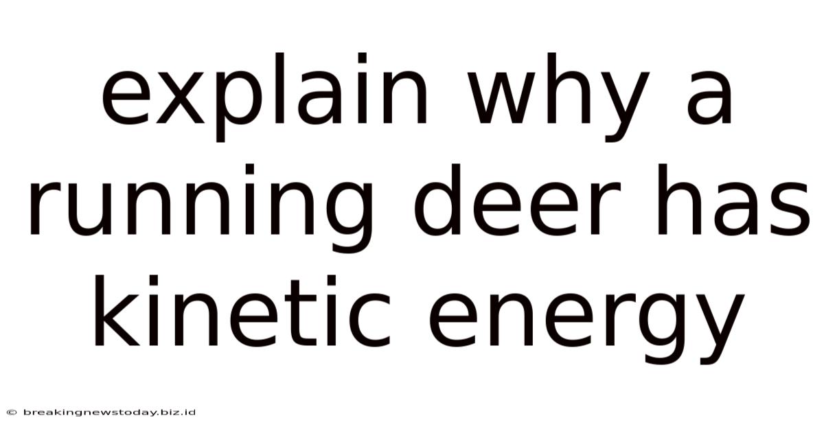 Explain Why A Running Deer Has Kinetic Energy