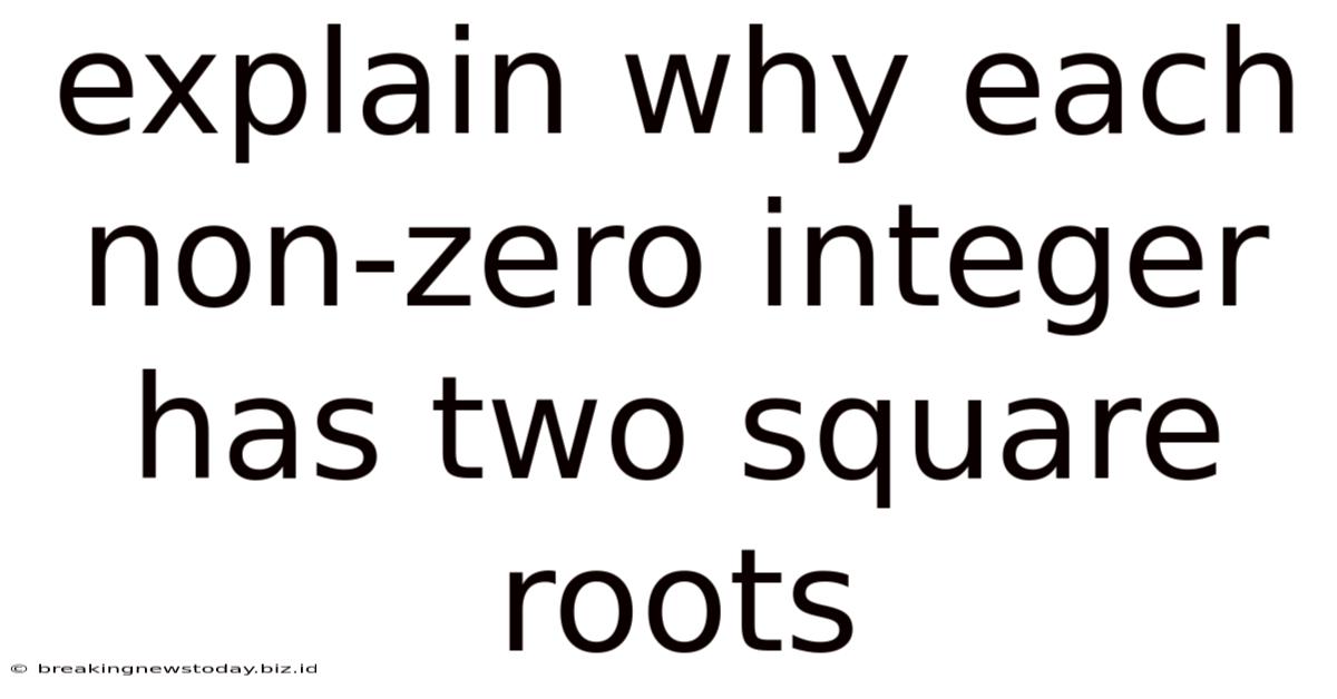 Explain Why Each Non-zero Integer Has Two Square Roots