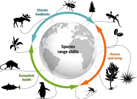 Explain Why Scientists Believe That Warm Climates Provide Greater Biodiversity.