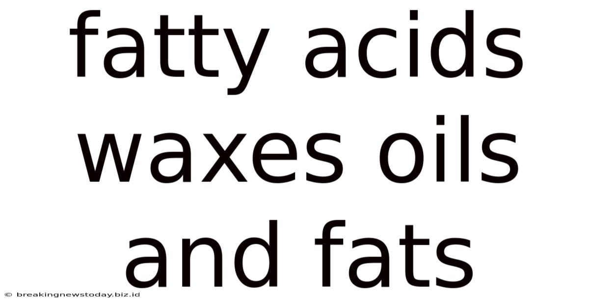 Fatty Acids Waxes Oils And Fats