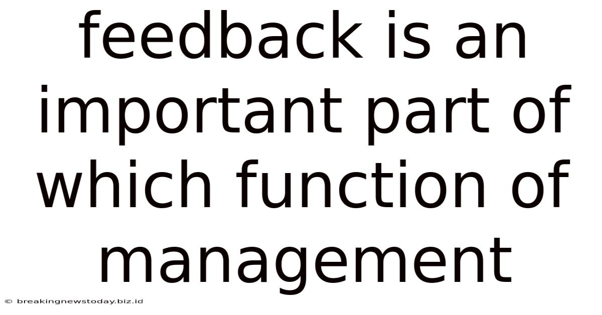 Feedback Is An Important Part Of Which Function Of Management