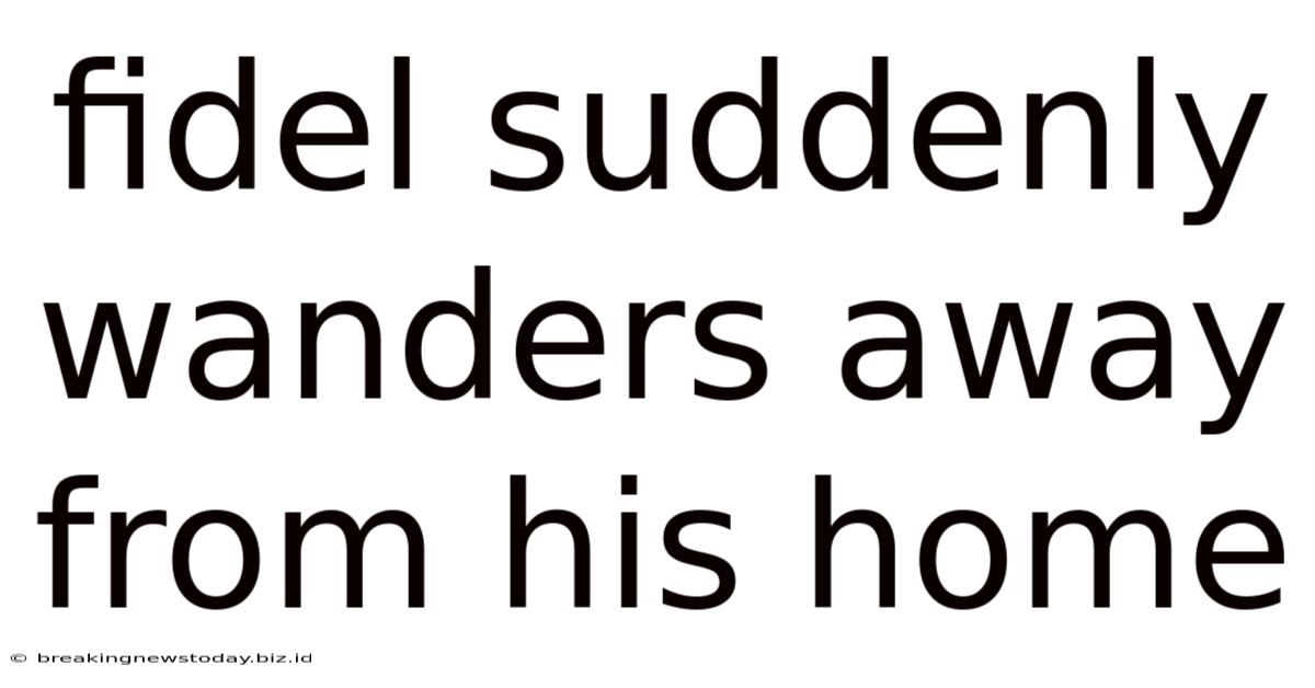 Fidel Suddenly Wanders Away From His Home