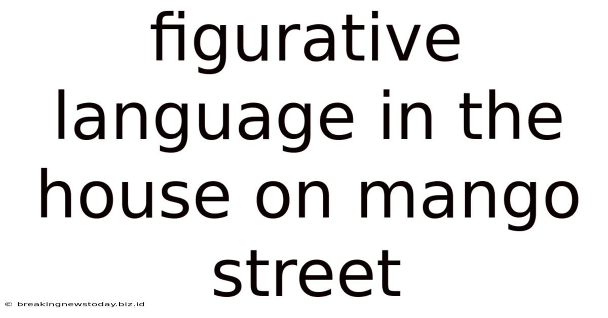 Figurative Language In The House On Mango Street