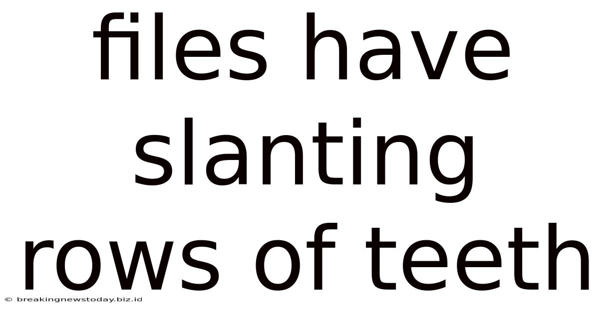 Files Have Slanting Rows Of Teeth